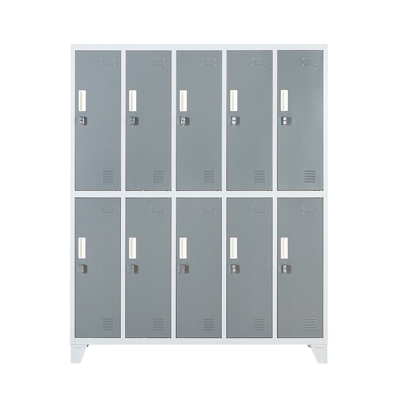 Multi-Column 10 Door Steel Loc